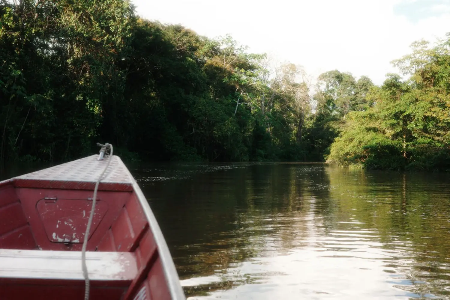 Boat entering a calm forest channel in the Colombian Amazon