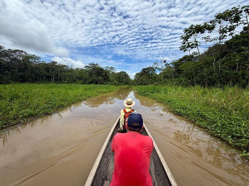 Canoeing a flooded forest channel