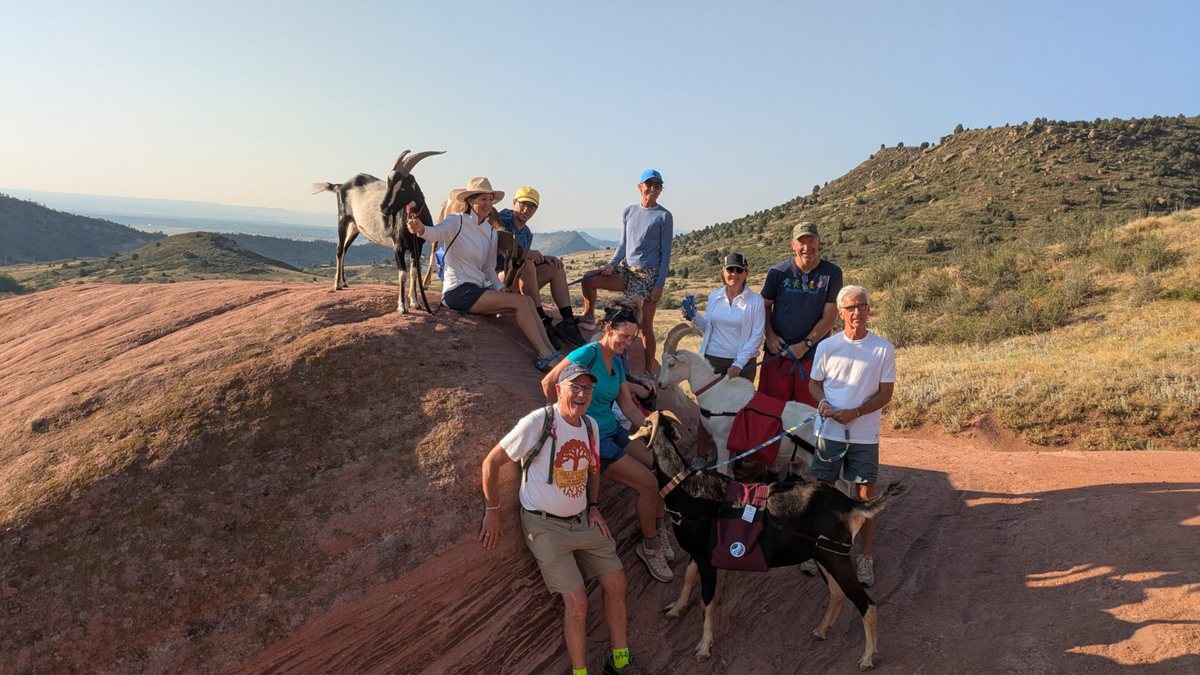 A group of hikers and pack goats posing on red sandstone above the Colorado foothills