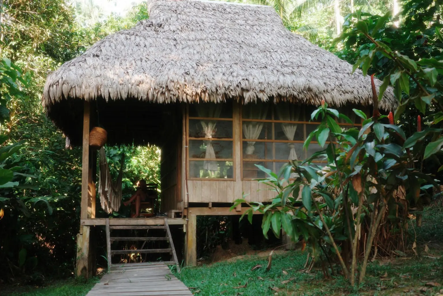 A thatched-roof ecolodge cabin surrounded by rainforest