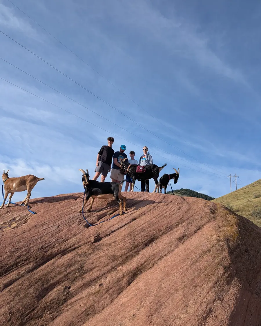 Hikers and goats standing together on a red sandstone formation
