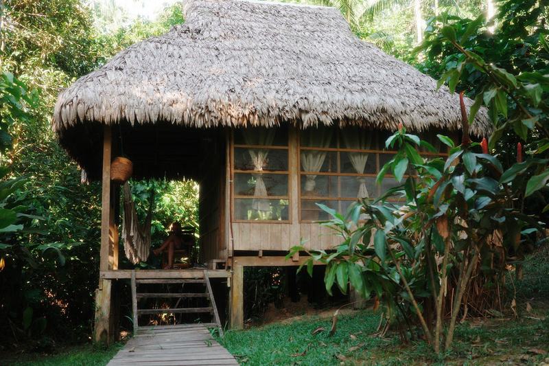 Thatched-roof jungle lodge cabin in the Amazon