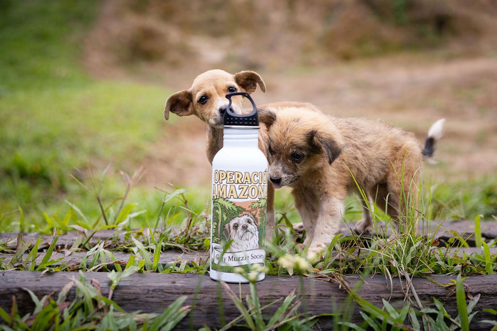 Two puppies beside an Operation Amazonas water bottle
